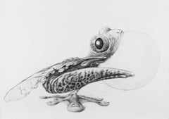 Disegni e acquerelli di animali del XXI secolo e contemporanei