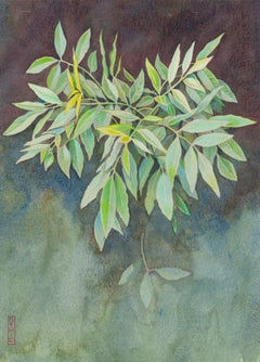 Leaves