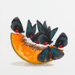 Eumeo Atala