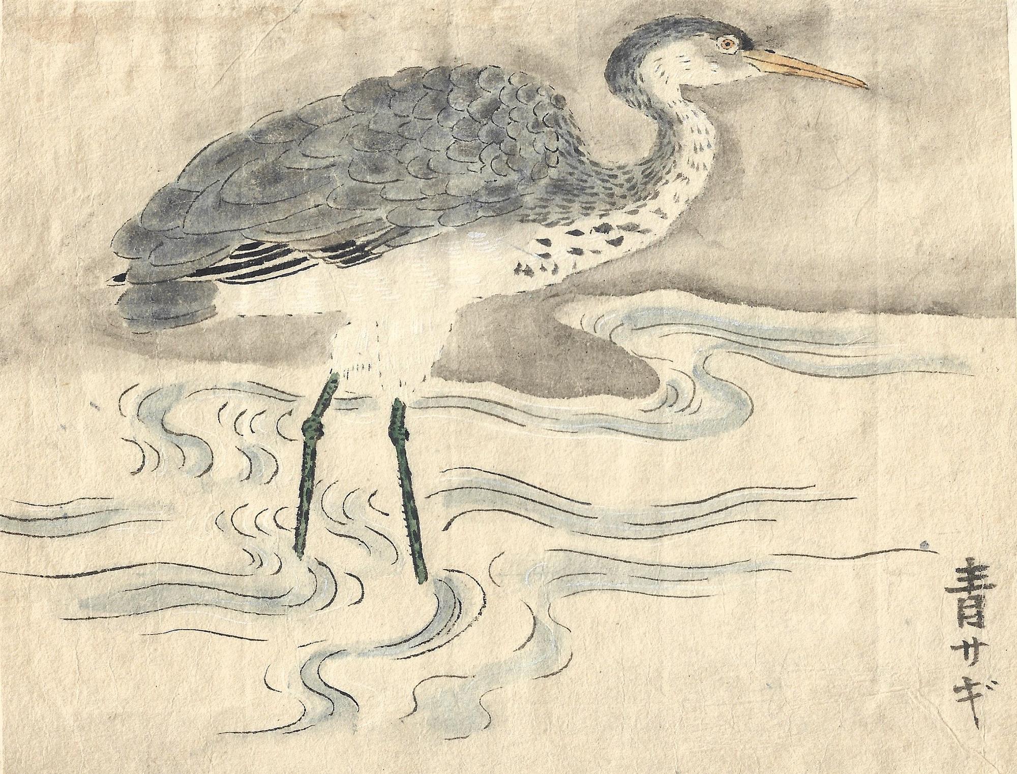 Unknown Animal Art - A heron fishing – Edo School, 19th century 