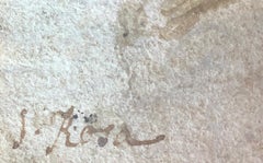 Study of horse and ox bones