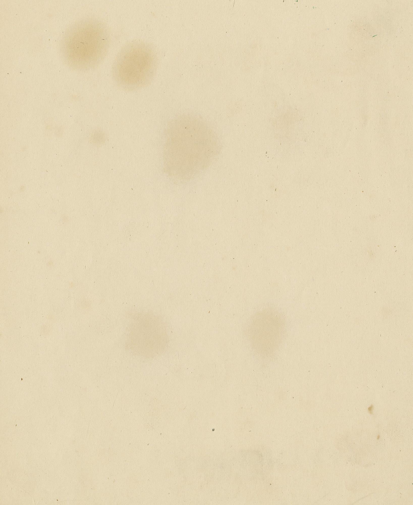 Studio di una quercia e del suo riflesso - Scuola francese, XVIII secolo - Art di Unknown