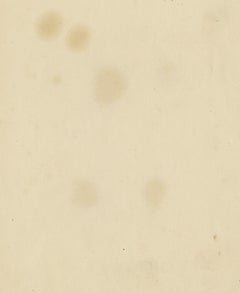 Study of an oak tree and its reflection – French School, 18th Century