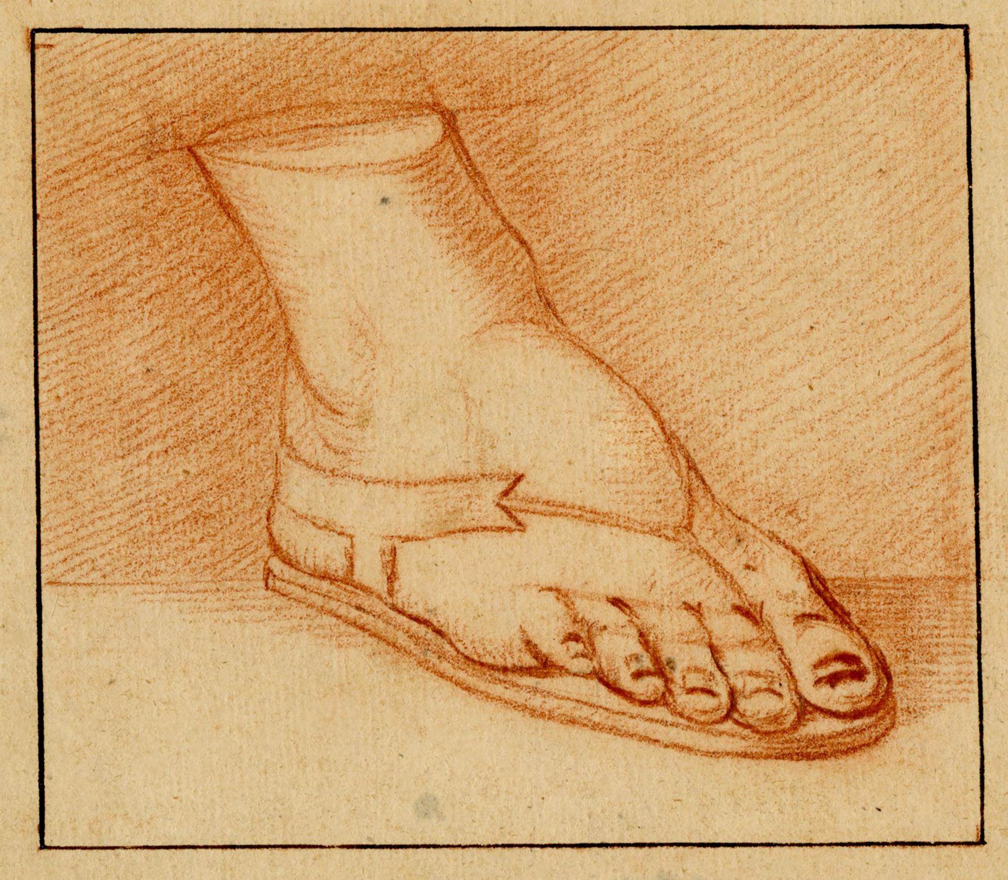 Unknown Still-Life - Studio di piede (study of foot)  – Florentine School 18th century