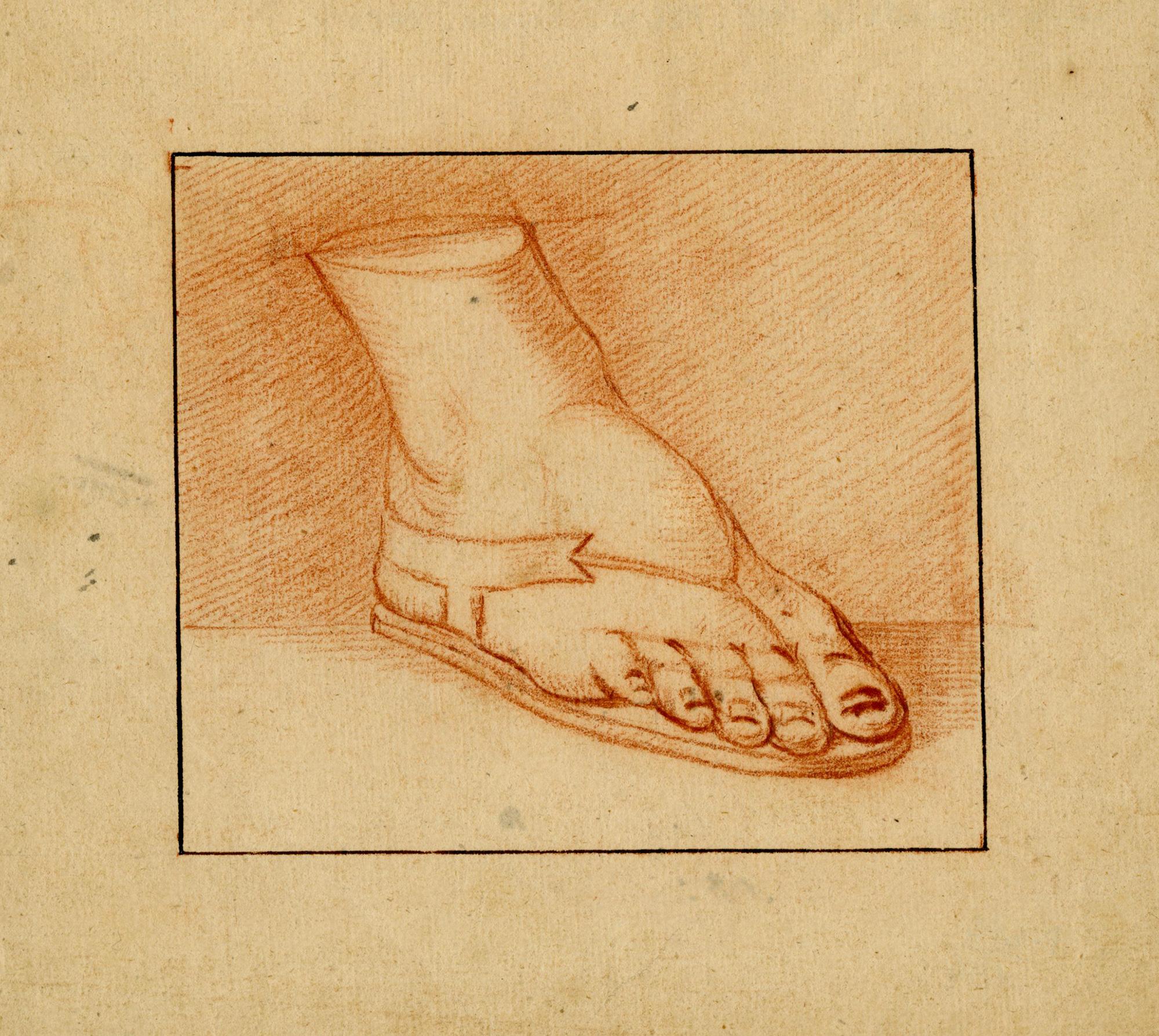 Studio di piede (study of foot)  – Florentine School 18th century - Art by Unknown