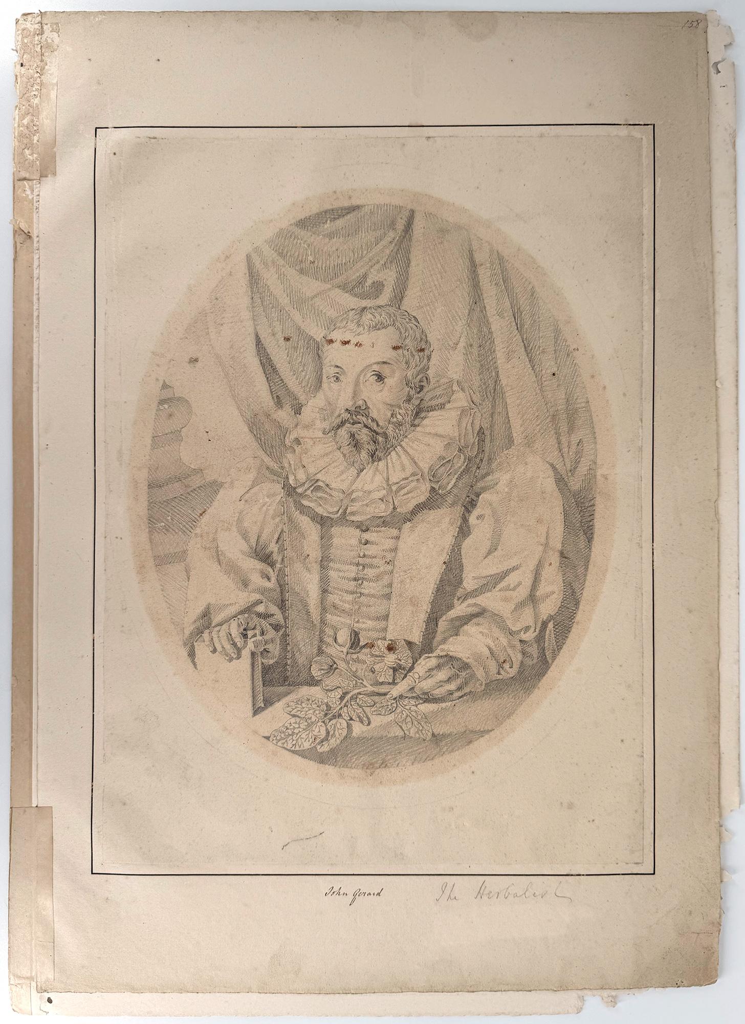 L'herboriste ; un portrait de John Gerard - Art de William Rogers (b.1545)