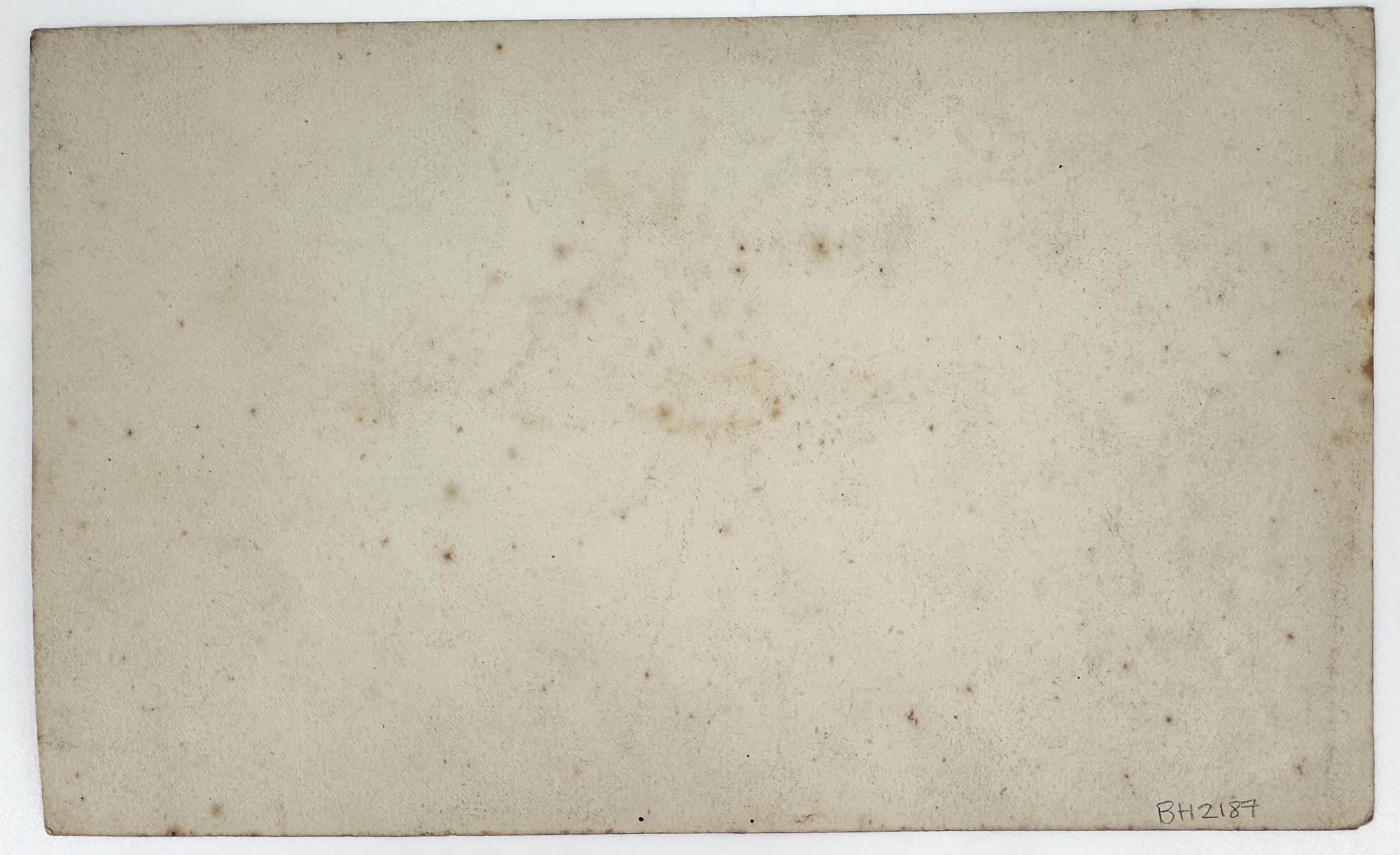 Camino rural - Art de Sarah Sophia Beale