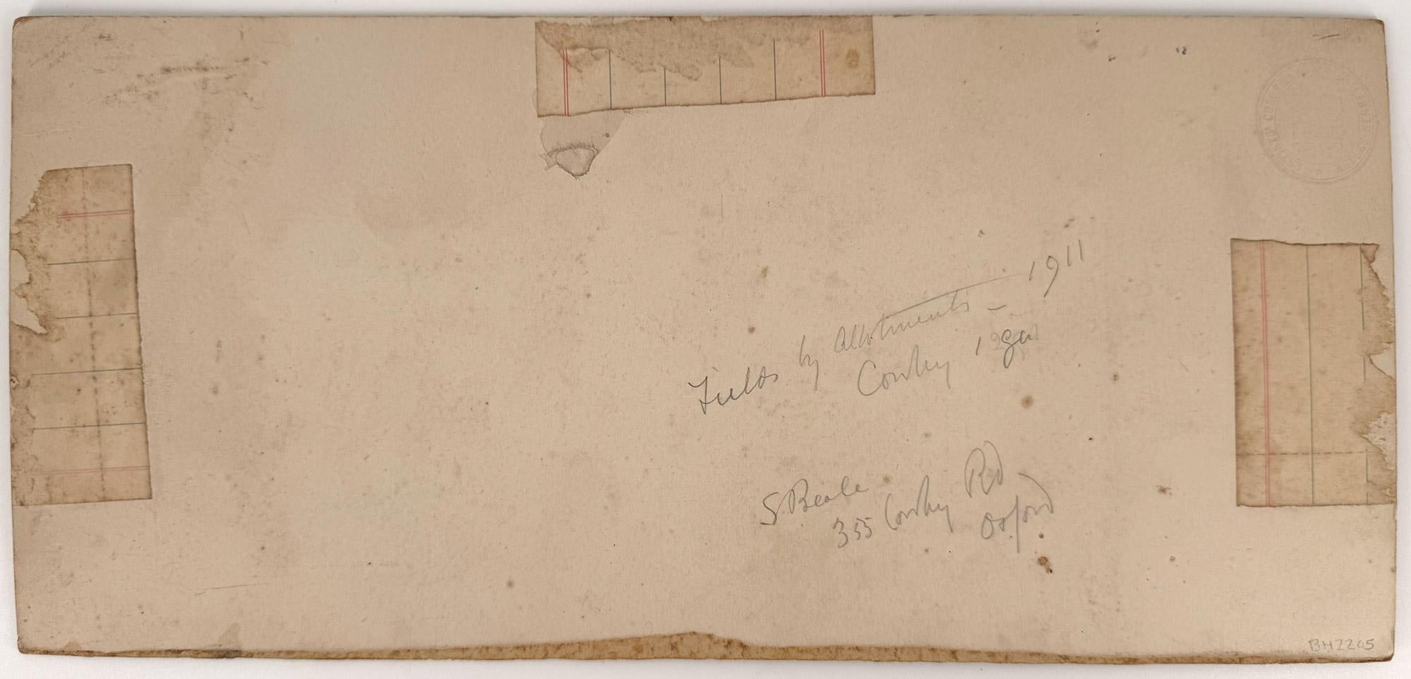 Fields, Cowley, Oxford - Art by Sarah Sophia Beale