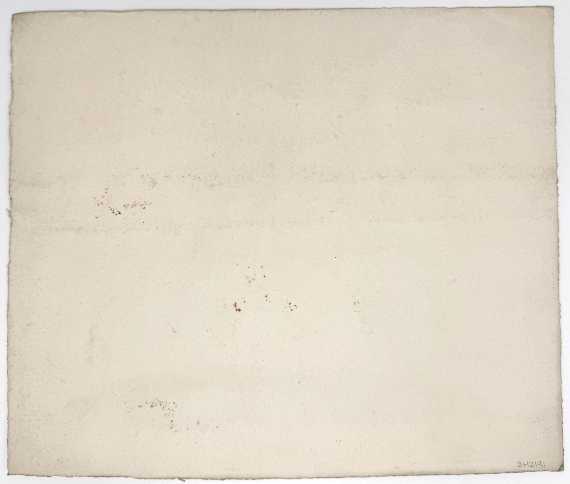 Fermes en patchwork, côte de Cornouailles - Art de Sarah Sophia Beale