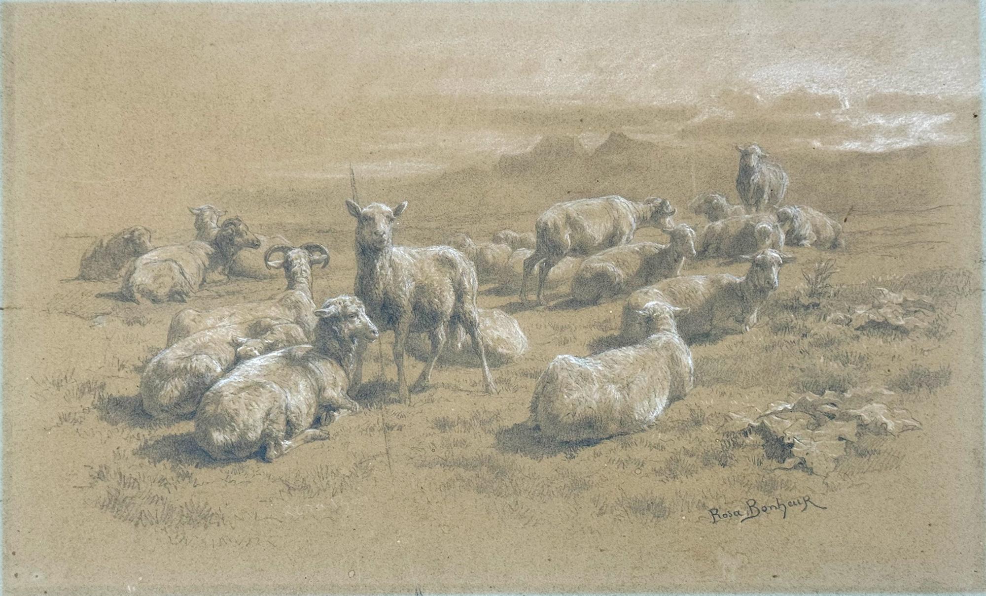 Why did Rosa Bonheur paint animals?