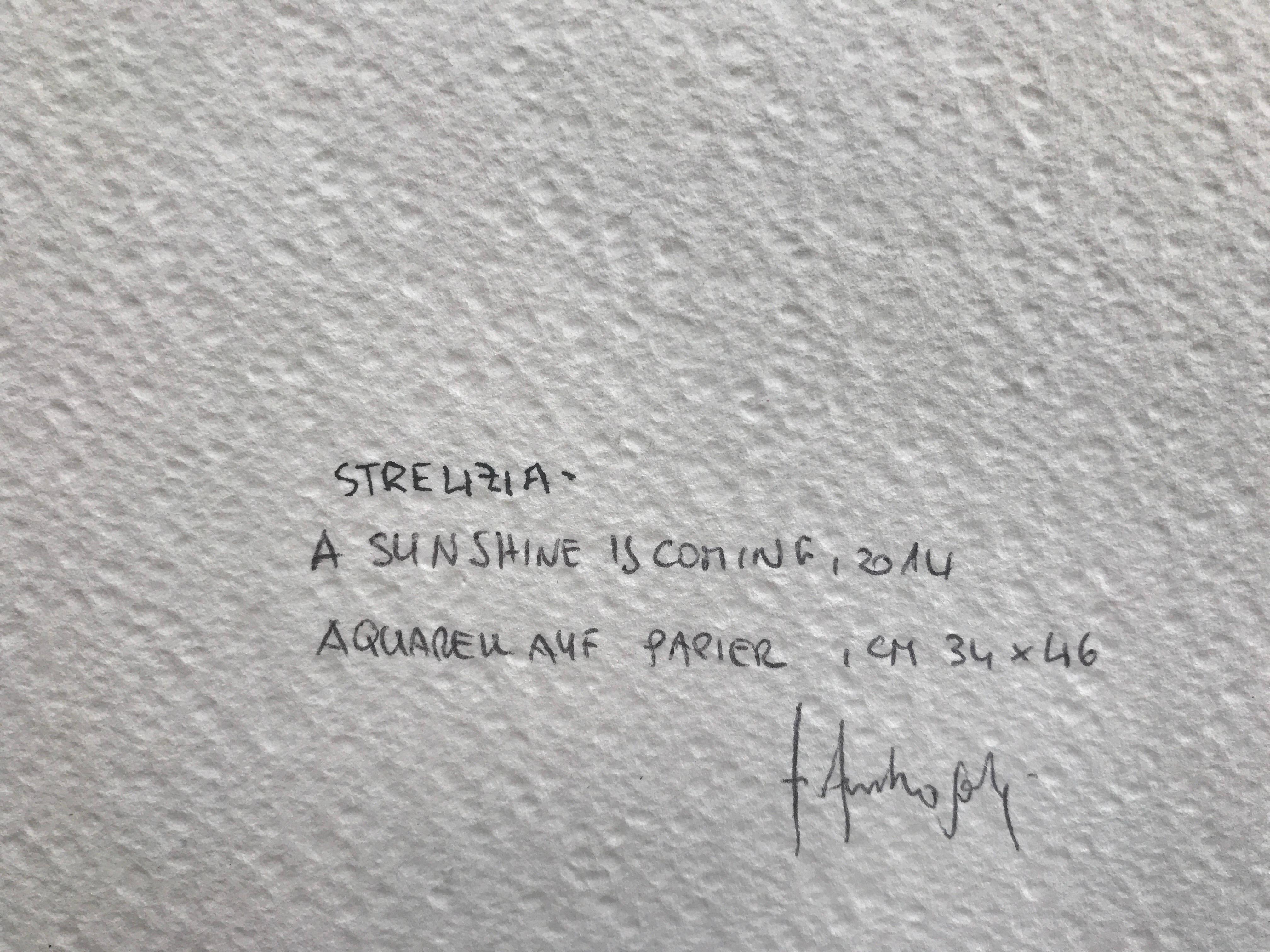 Strelizia von Annemarie Ambrosoli, Aquarell, 34x46cm, abstrakte geometrische Strelizia im Angebot 12
