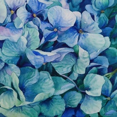 Hydrangea bloom