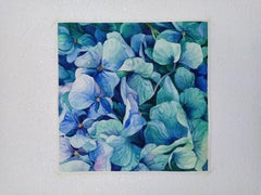 Hydrangea bloom