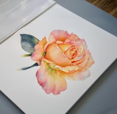 Golden Rose