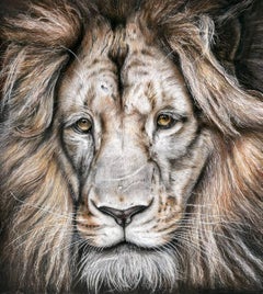Majestic lion
