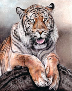 Tigre, dessin réaliste d'animal, crayon sur papier, 2026