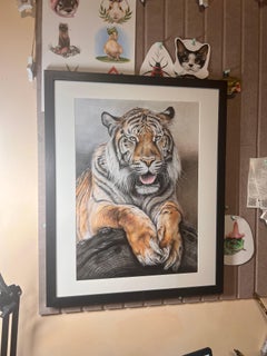 Tigre, dessin réaliste d'animal, crayon sur papier, 2026