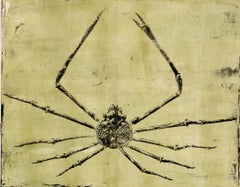 Kamchatka Crab, Realist Still Life Drawing, Acrylic on Paper, 2026