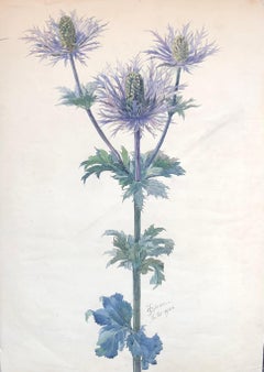 Antique Thistles