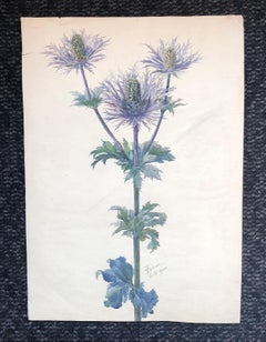 Thistles