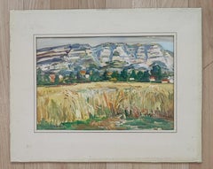 At the foot of the mountains