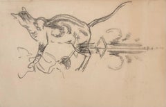 Katzenstudie und Verschiedenes