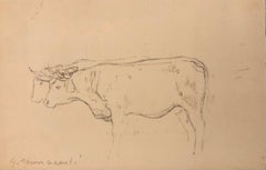 Vintage Cow study