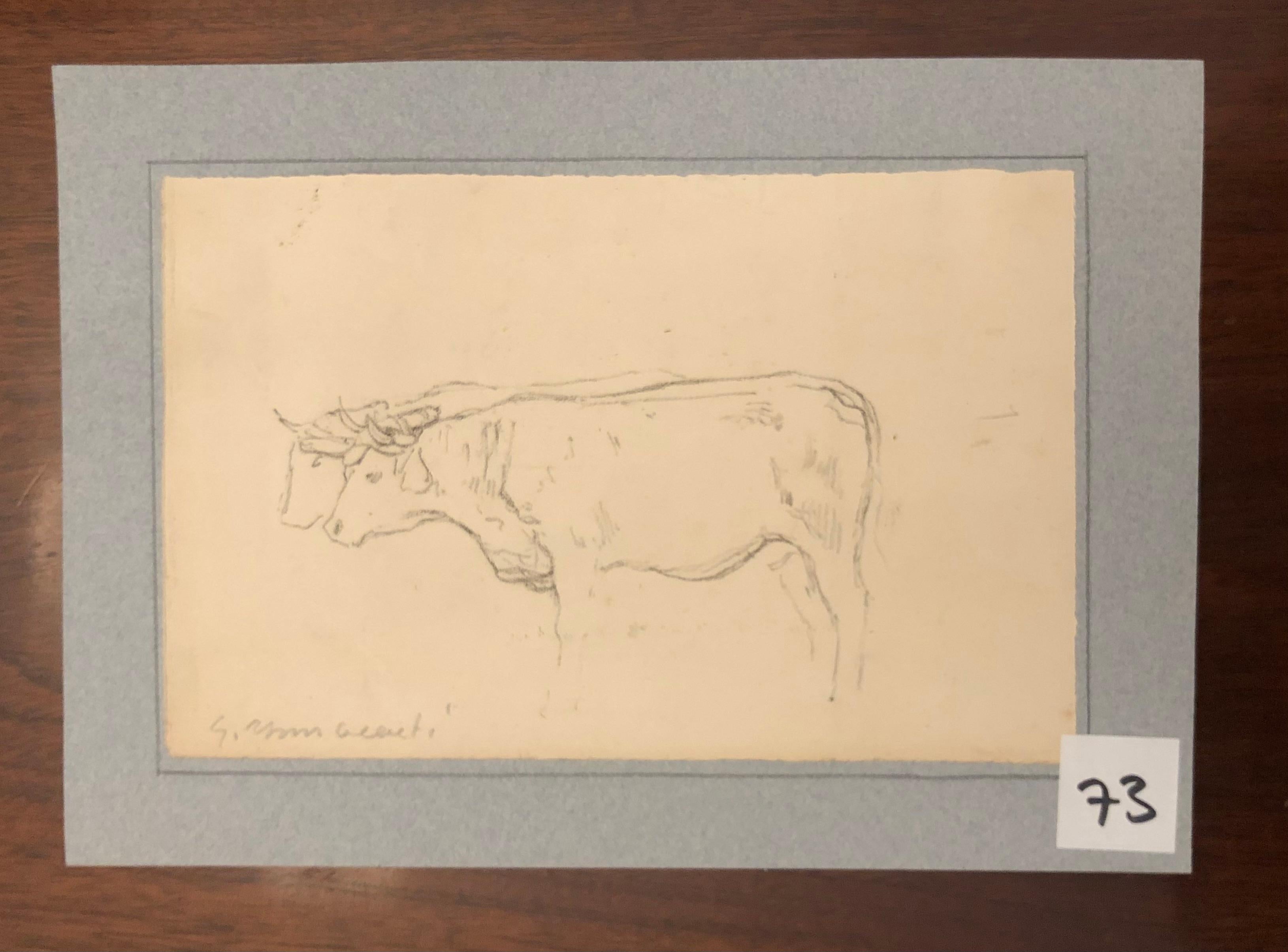 Cow study For Sale 4