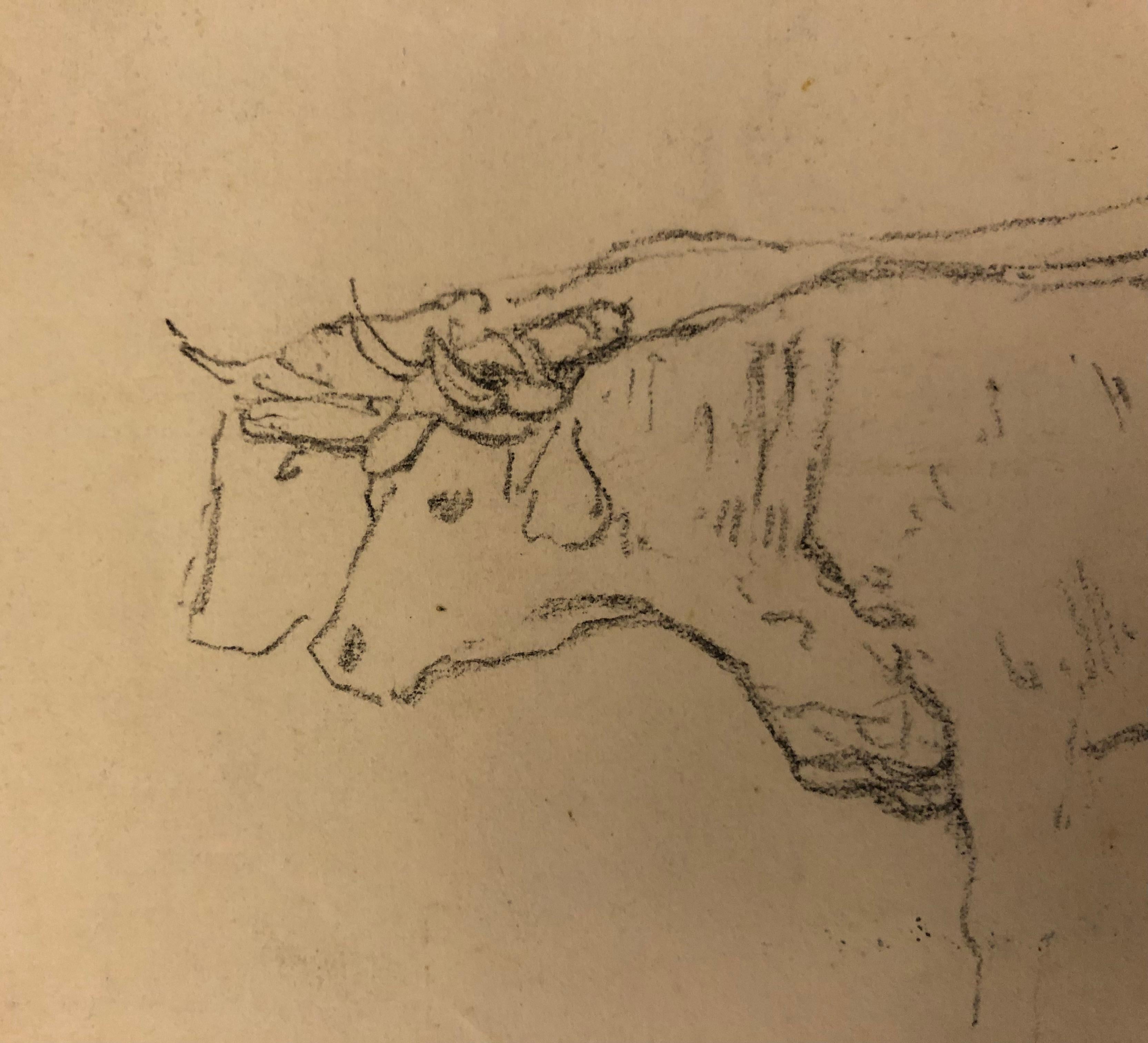 Cow study For Sale 1