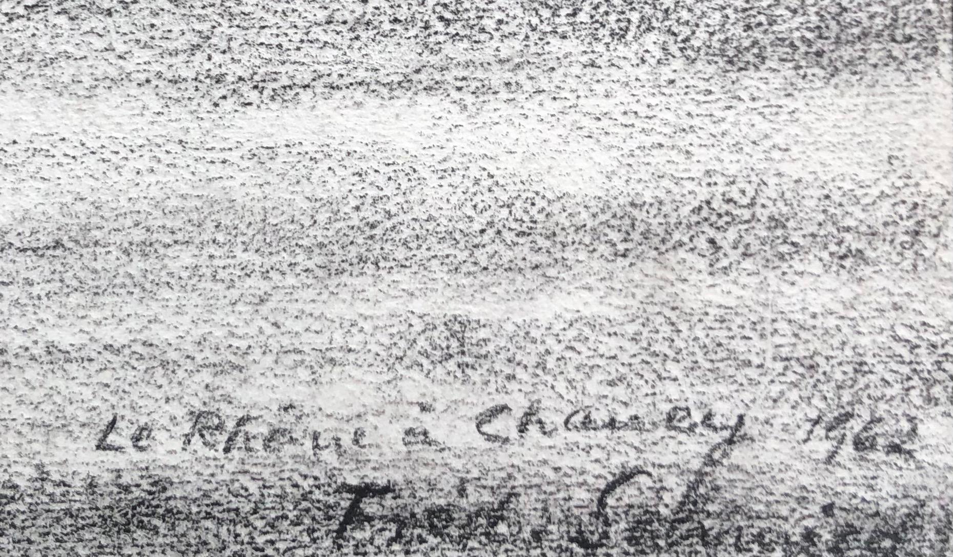 Paisaje a orillas del Ródano - Portrait Gris de Frédéric Schmied