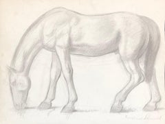 Pferd
