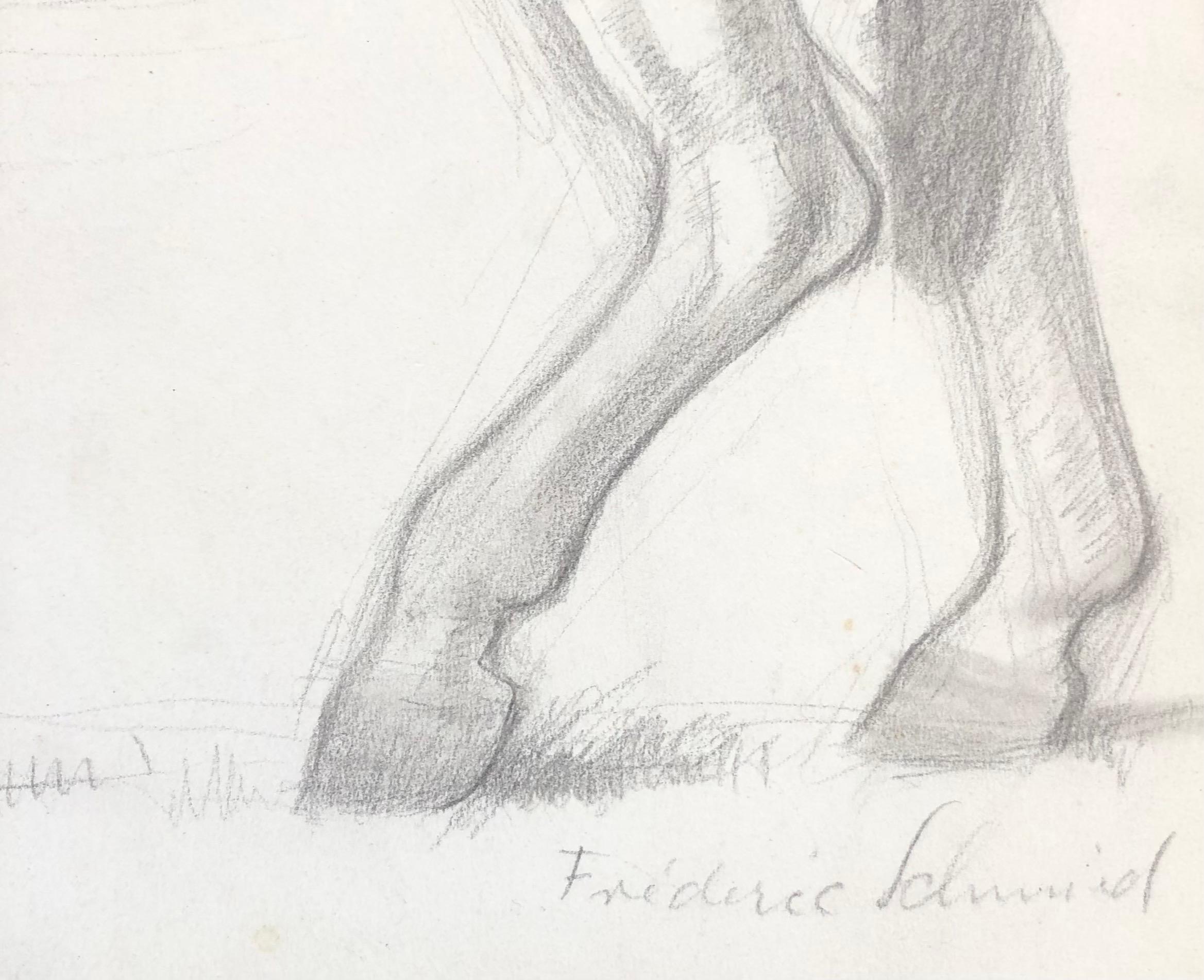Cavallo - Animal Art Beige di Frédéric Schmied