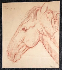 Le Stallion de corail