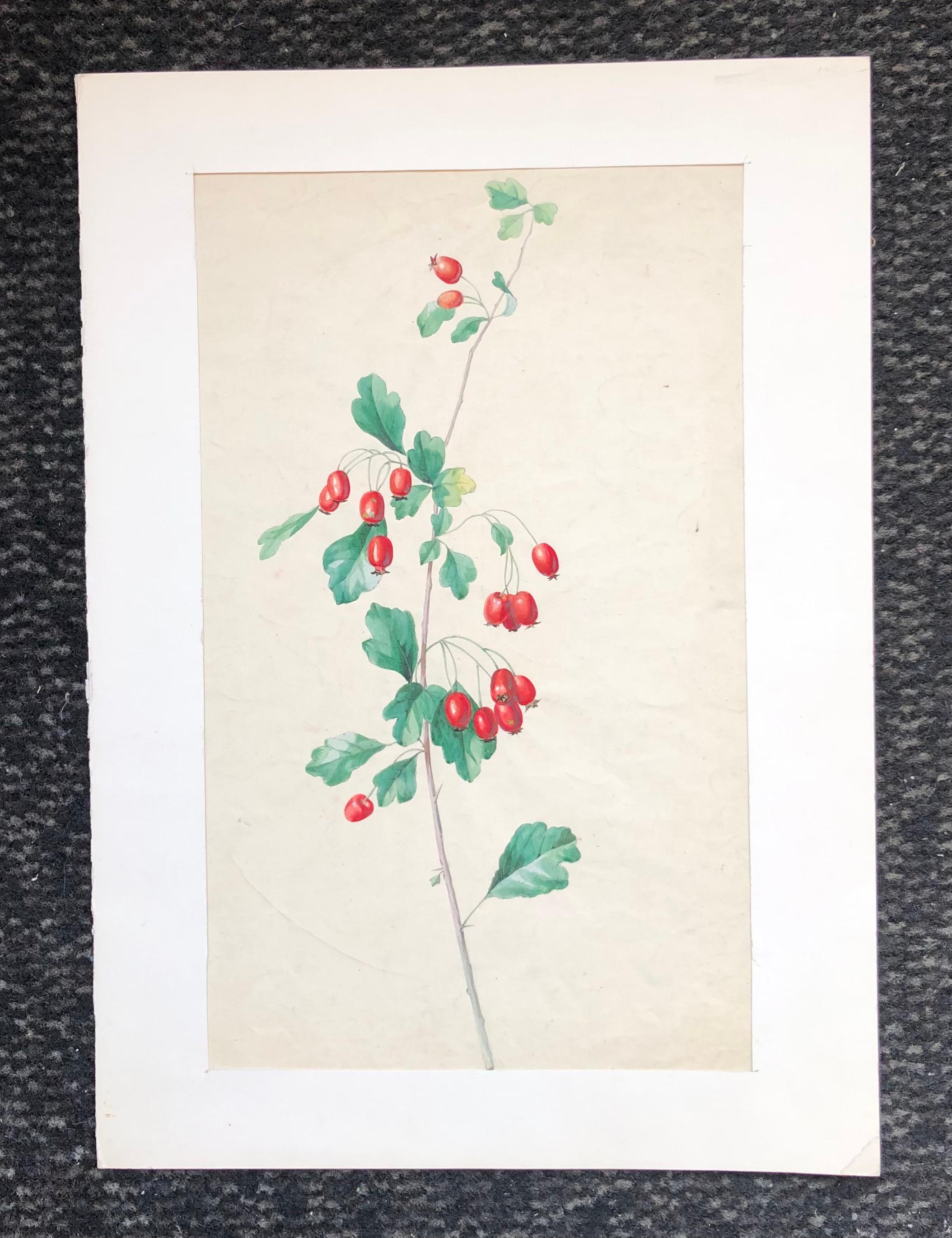 Knospen – Art von Juliette Calame