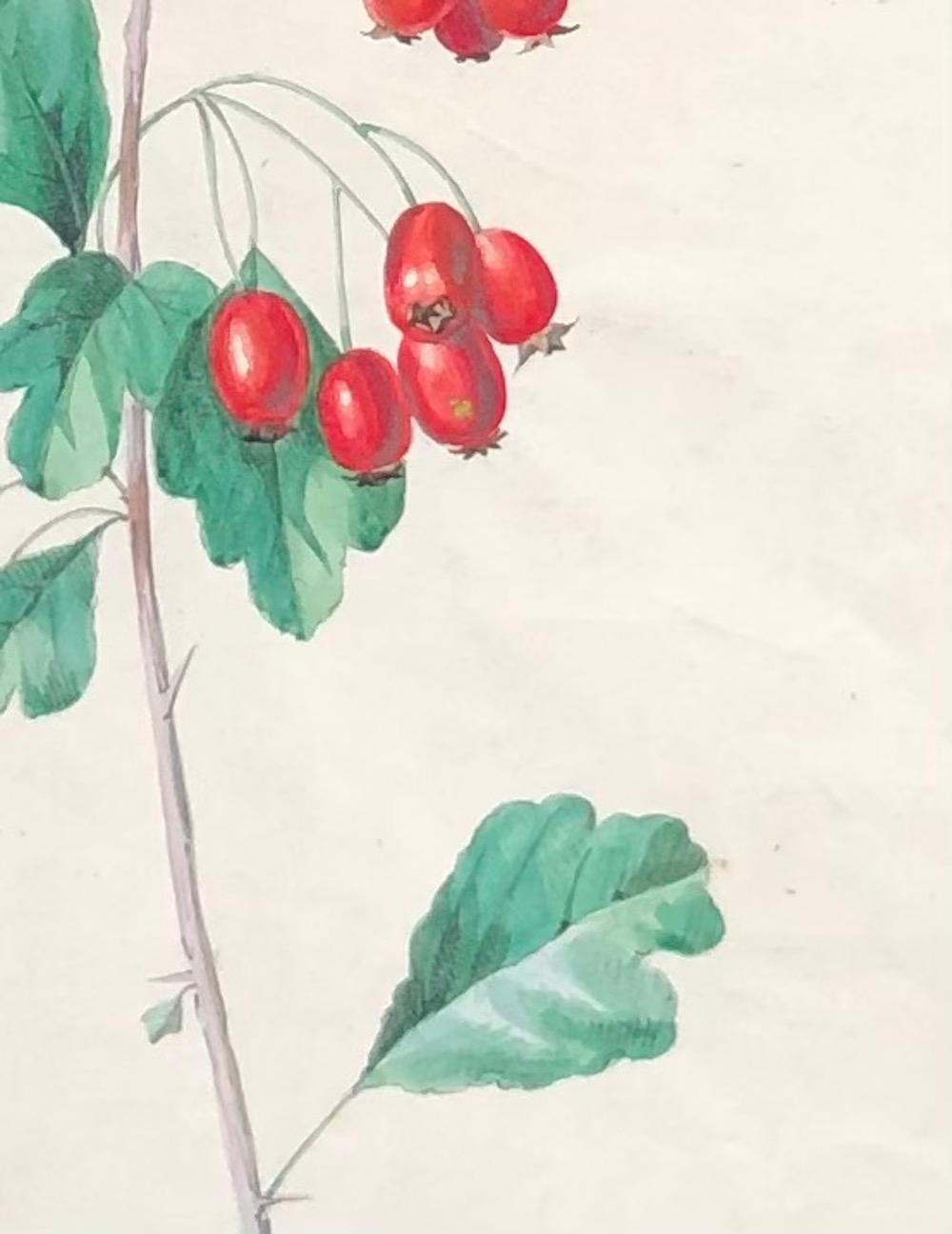 Knospen (Beige), Still-Life, von Juliette Calame