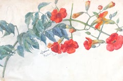 Blühender Zweig