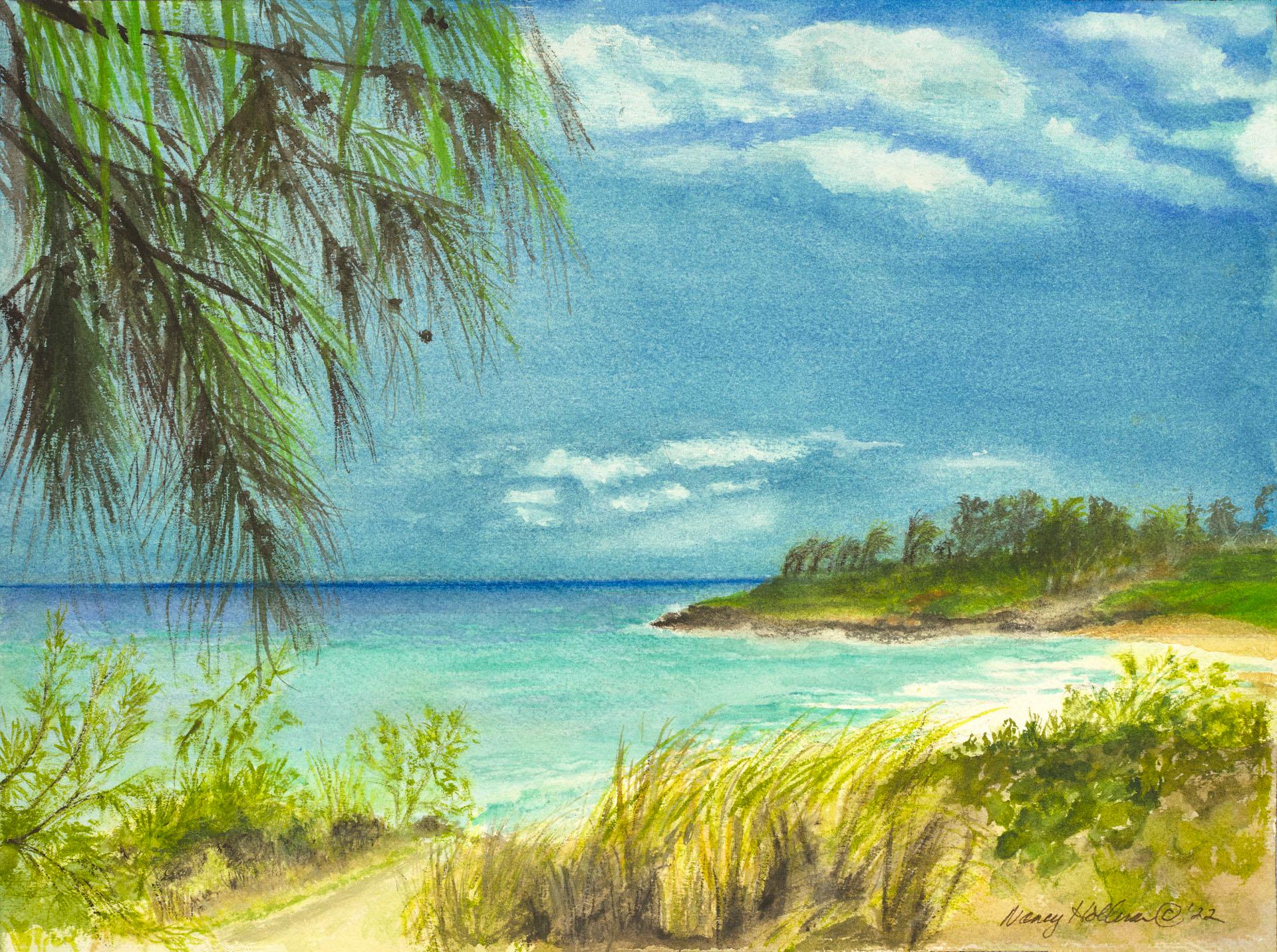 Nancy Holleran Landscape Art - Kauai Kapaa