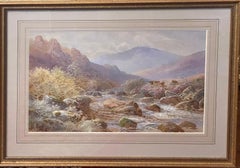 Ganado de las Tierras Altas junto a un arroyo