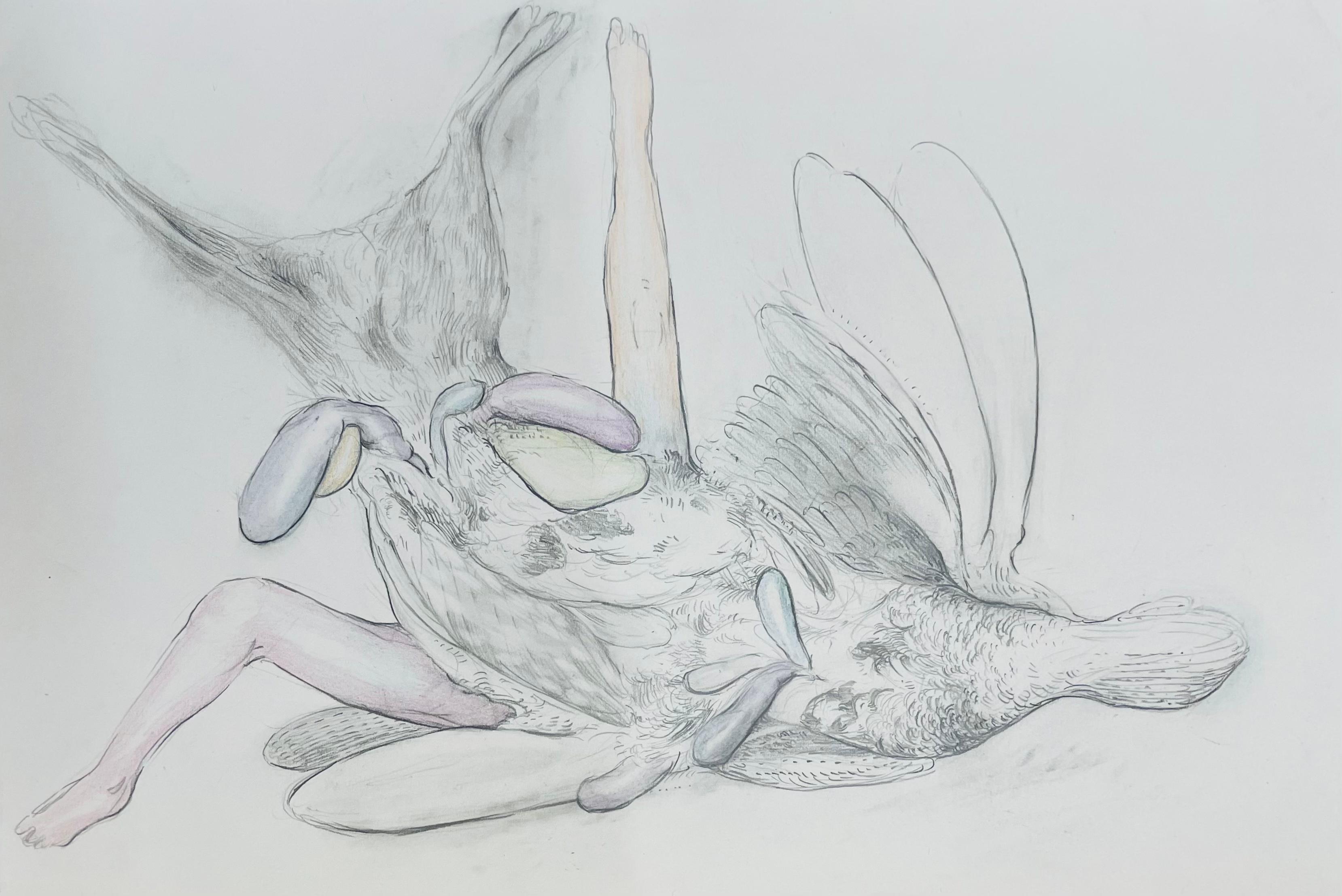 Gonzalo García Figurative Art - "Panéjo con estómagos N°2" contemporary drawing figurative bird legs