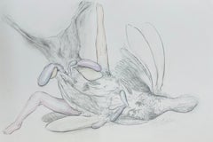 "Panéjo con estómagos N°2" dessin contemporain pattes d'oiseau figuratif.