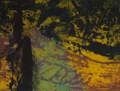 Vintage Manuel Facal, Etching on paper, "Fondo V" (Original, 1985) Sunset, Yellow, Green