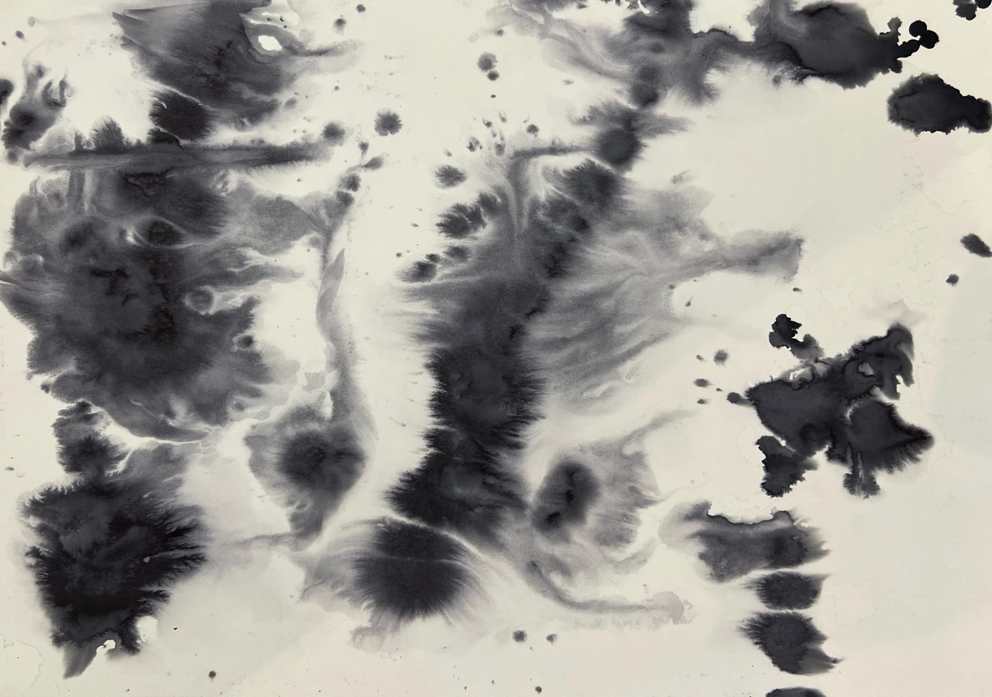 Pittura espressionista, acqua di mare dell'Atlantico e inchiostro di penna, neri e grigi
