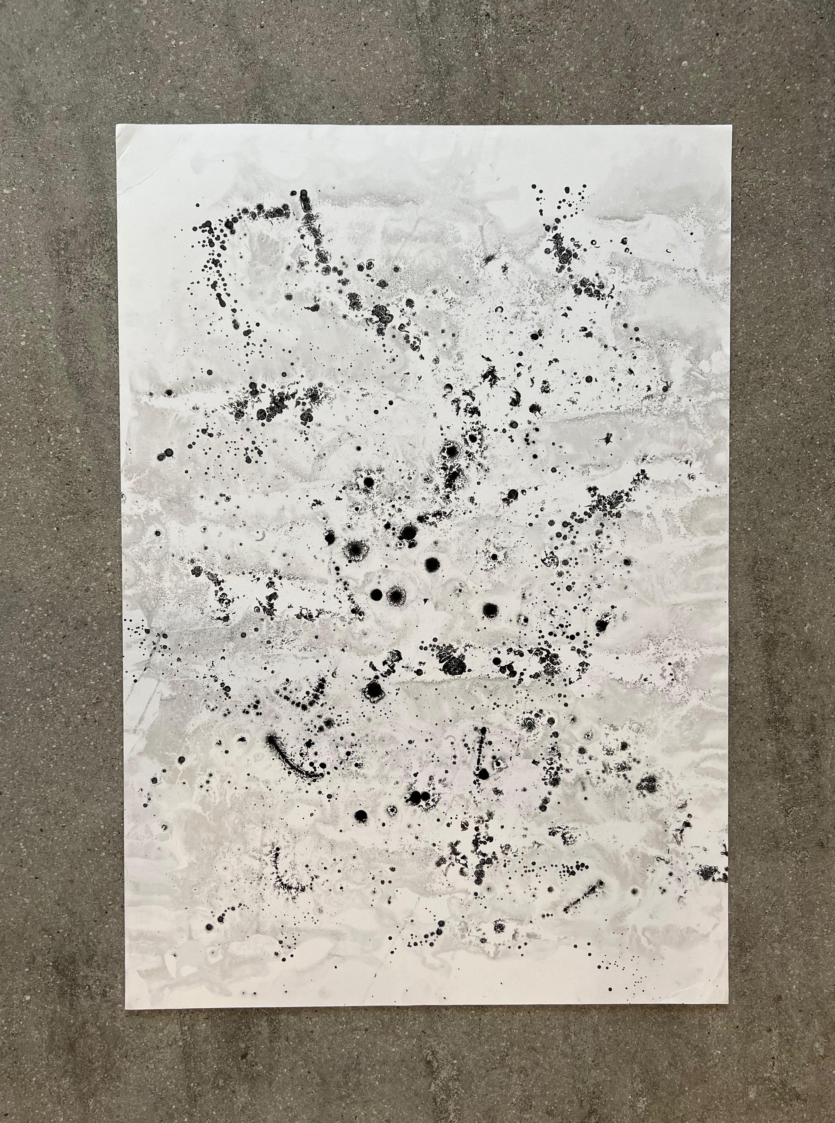 Inchiostro nero su carta, acqua di mare, frattali, disegni impossibili e poetici - Art Contemporaneo di TUSET