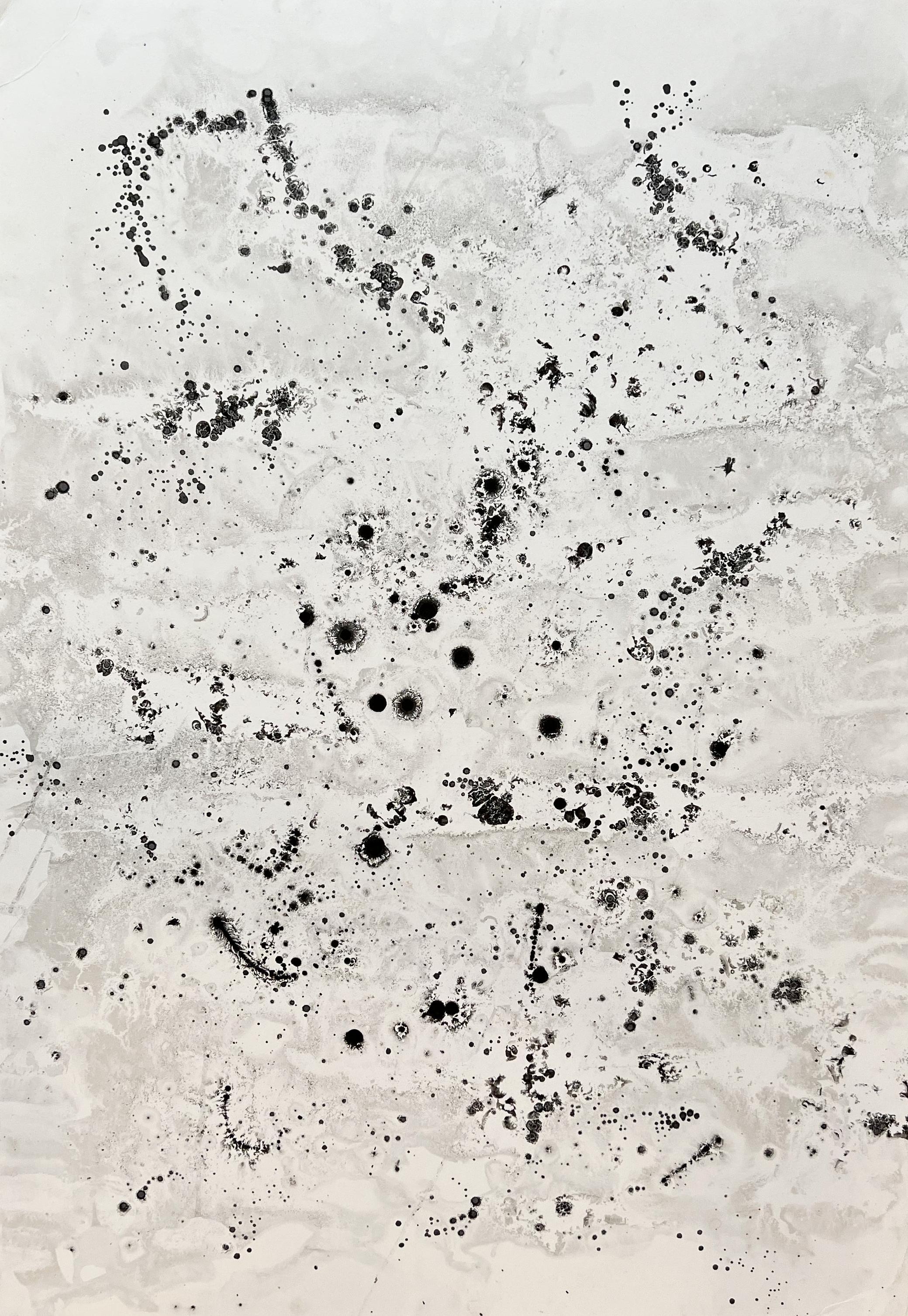 Encre noire sur papier, eau de mer, dessins fractales, impossibles et poétiques