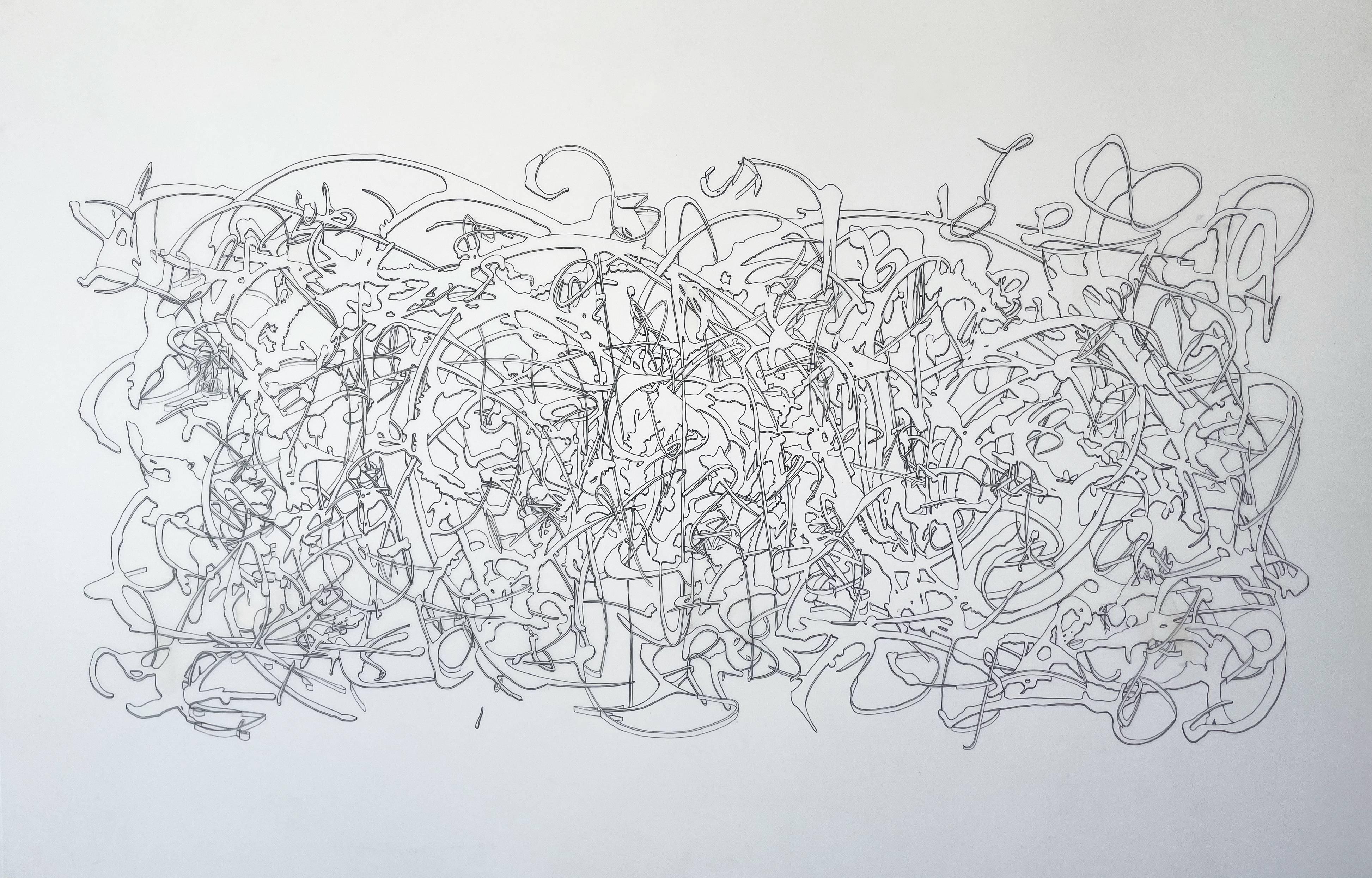 Felice Grodin Abstract Drawing – ''Doily'', Tinte auf Mylar, Abstrakt, zeitgenössisch, Kunst