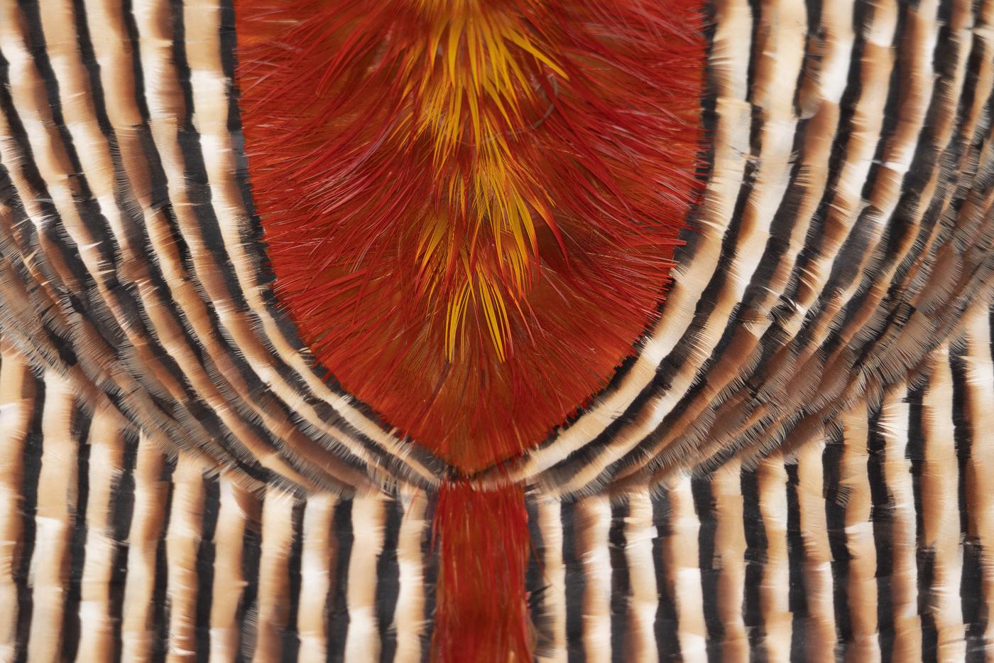 Red and Earth Tones Abstract Feather Wall Art, 2025 For Sale 4