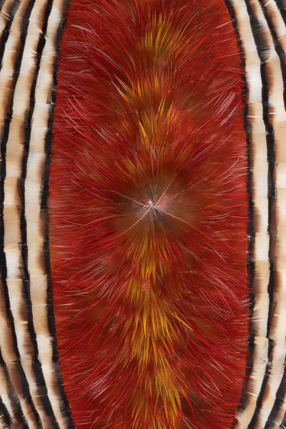 Red and Earth Tones Abstract Feather Wall Art, 2025 For Sale 2