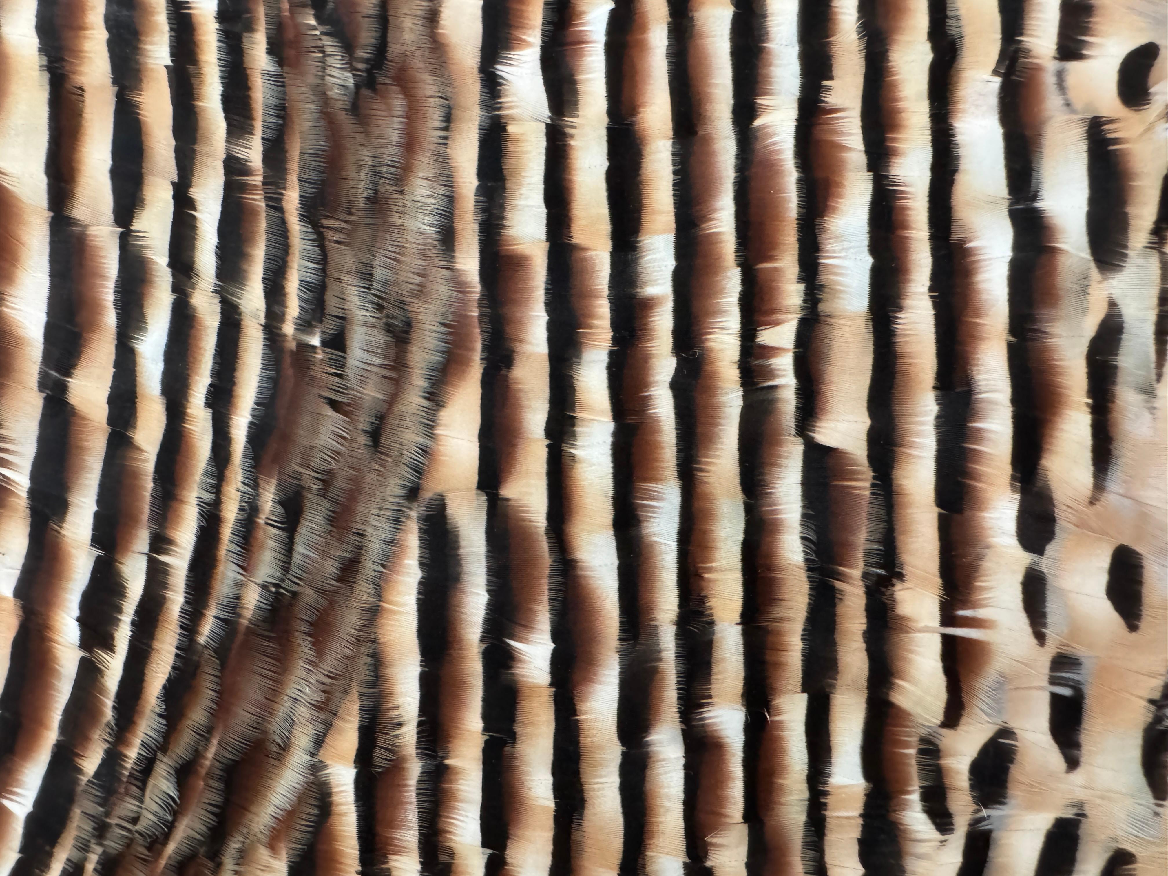 Red and Earth Tones Abstract Feather Wall Art, 2025 For Sale 7