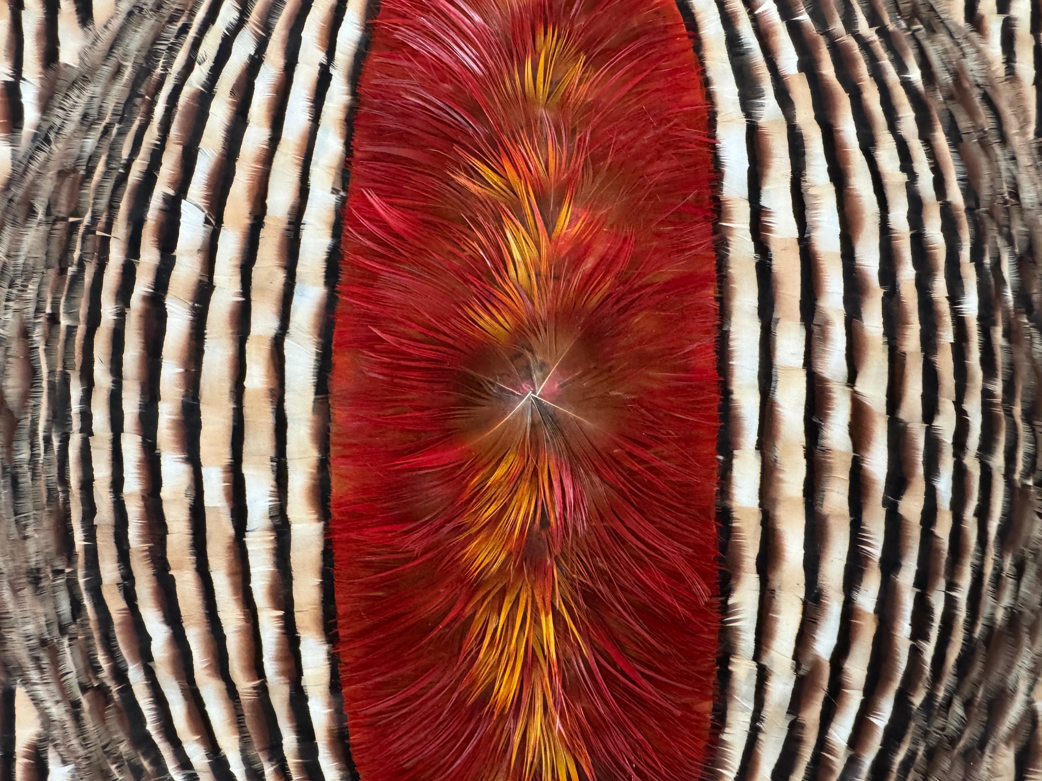 Red and Earth Tones Abstract Feather Wall Art, 2025 For Sale 9