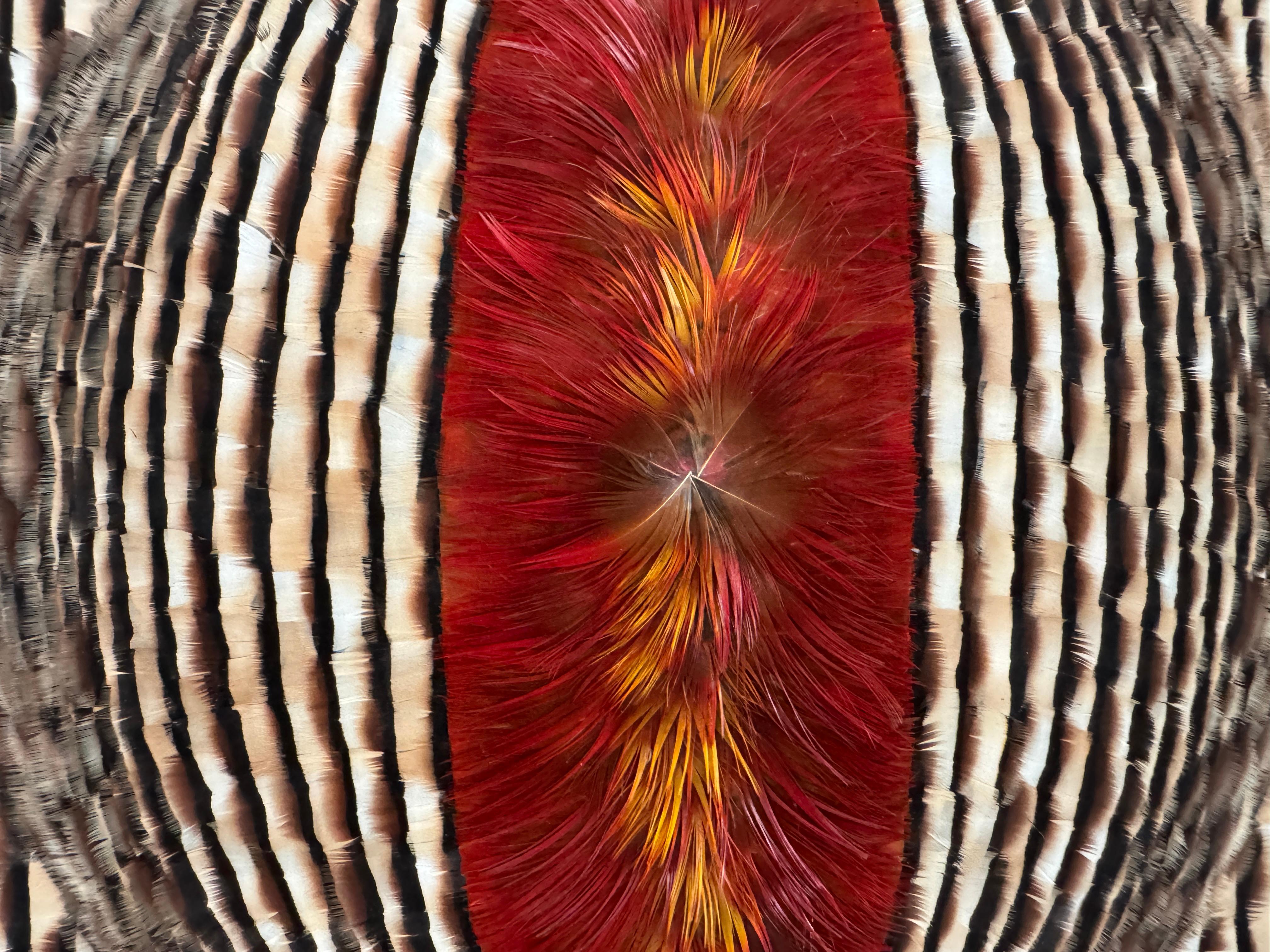 Red and Earth Tones Abstract Feather Wall Art, 2025 For Sale 16
